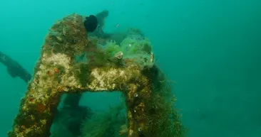Mersin sahilleri müsilaj tehlikesi altında! Uzman isimden sahil kentlerine uyarı