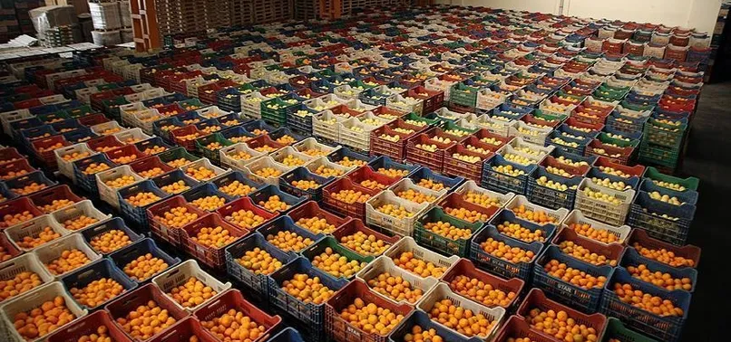 Gıdada fiyatları düşürecek yeni dönem başlıyor