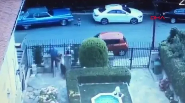İstanbul’da eşini ısıran köpeği silahla öldürdü! O anlar kamerada - 1
