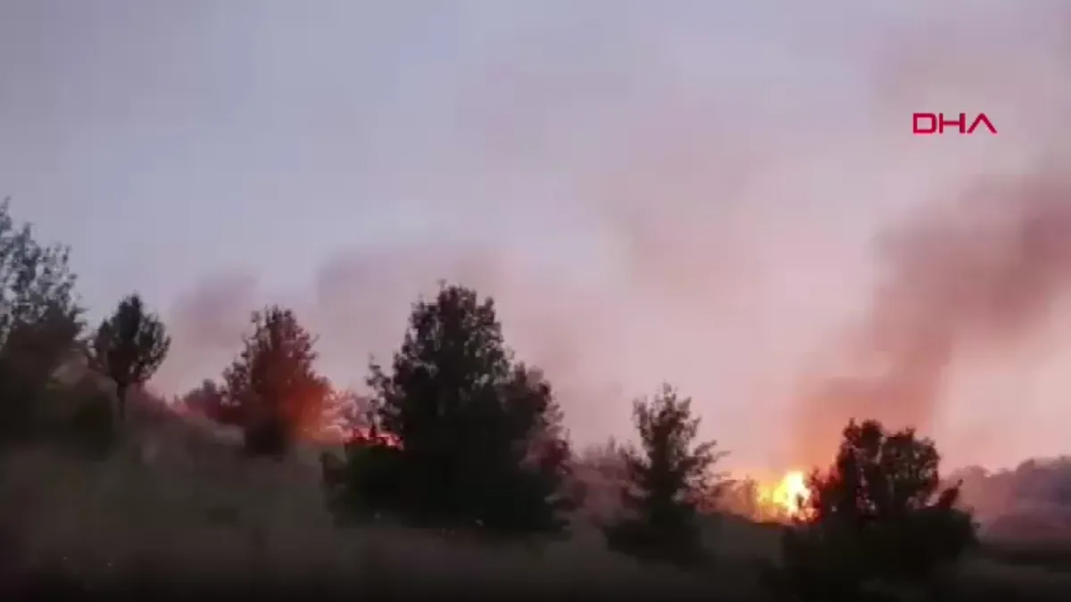 Tekirdağ'daki eski kömür ocağında ot yangını: Ekiplerden canhıraş mücadele