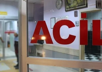 Mardin'de pikap devrildi! 2'si çocuk 6 yaralı