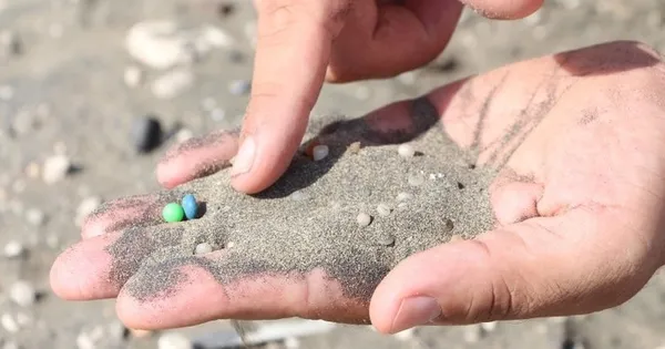 Karadeniz'de yeni tehlike: Mikroplastik! 7 milyona kadar çıktı - 6