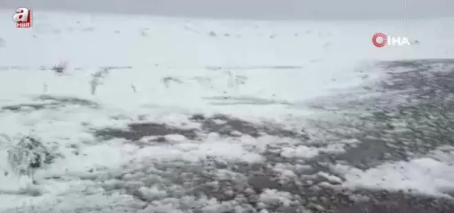 Ardahan Posof'ta kar yağışı