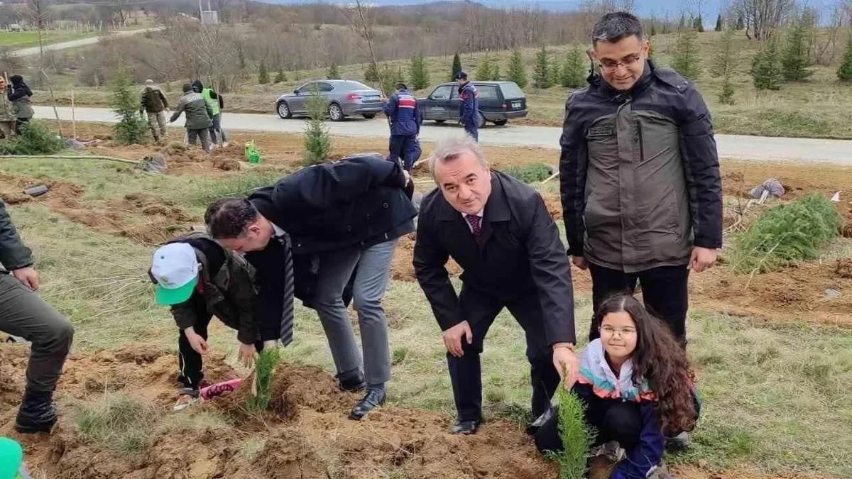 Çok sayıda fidan toprakla buluştu