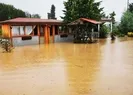 Dereler taştı, hayvanlar telef oldu