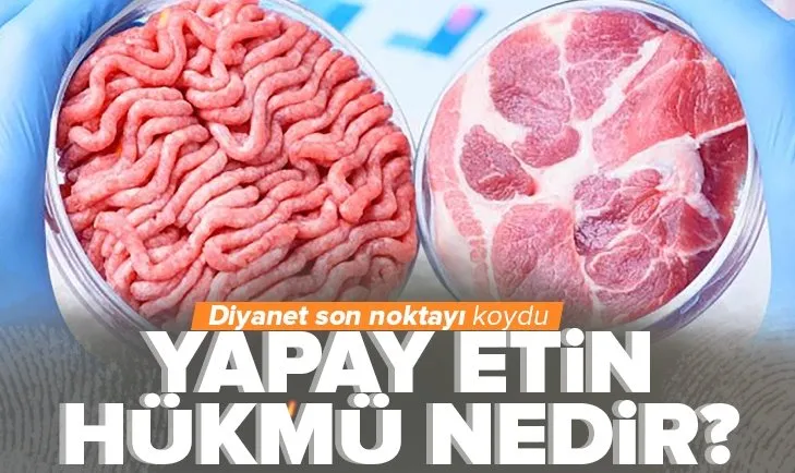 Yapay etin hükmü nedir? Caiz mi haram mı? Diyanet İşleri Başkanlığı son noktayı koydu