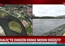 Haliçte manzara değişmedi kirlilik artıyor