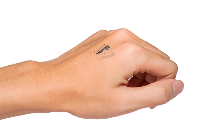 Sıtmaya dikkat! Uzmanı uyardı: Ölüm tehlikesi taşıyor...