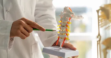 D vitamini eksikliği nedir: Sağlığınızı nasıl etkiler? D vitamini eksikliğini önlemenin yolları