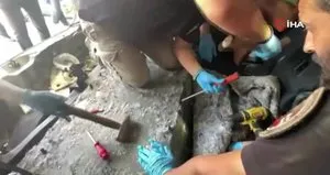 Cipte zulalanmış 82 kilo uyuşturucu ele geçirildi!