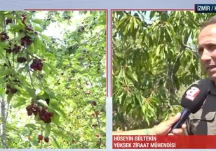 Tarım ilacı kalıntısı nasıl zarar verir?