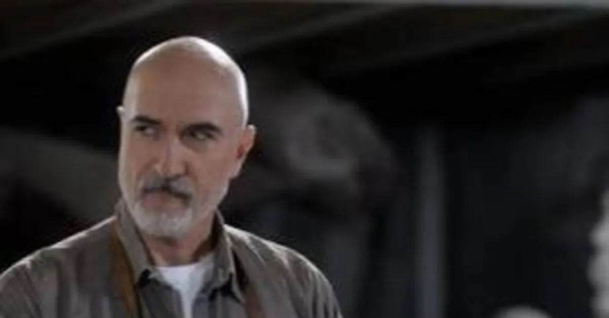 kurtlar vadisi dizisinin aron feller i