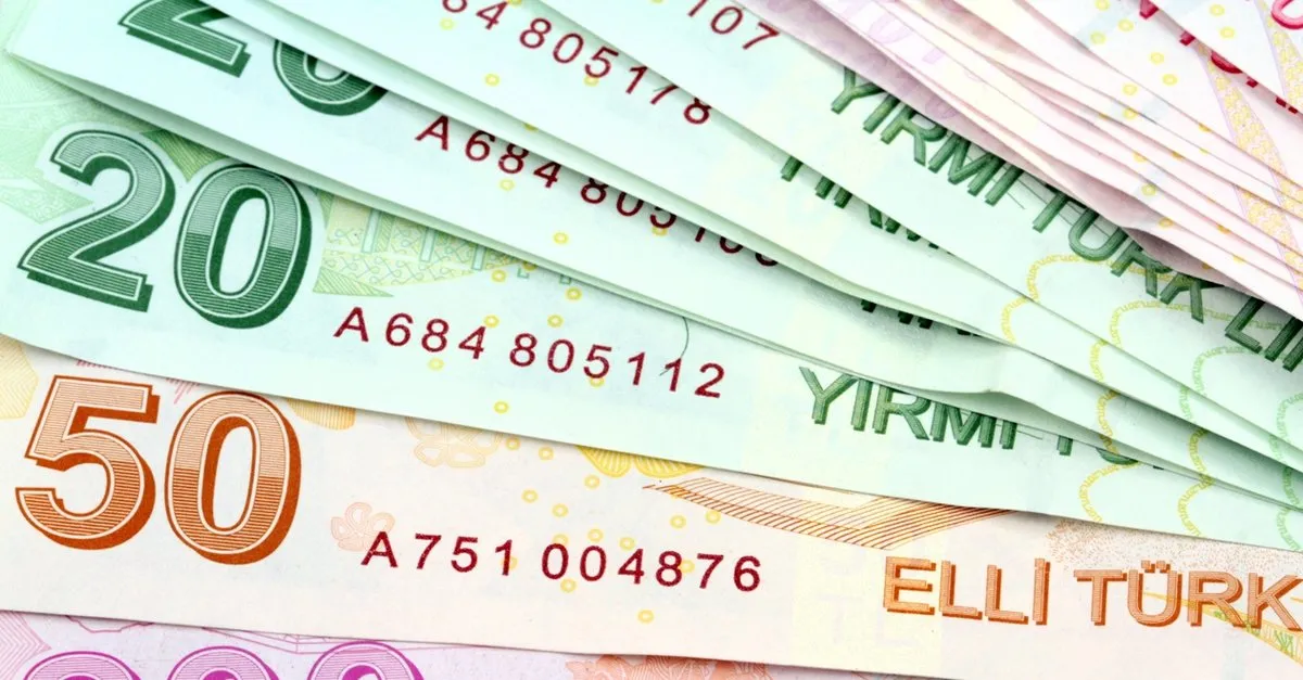 2020 Yili Engelli Ve 65 Yas Maaslari Belli Oldu
