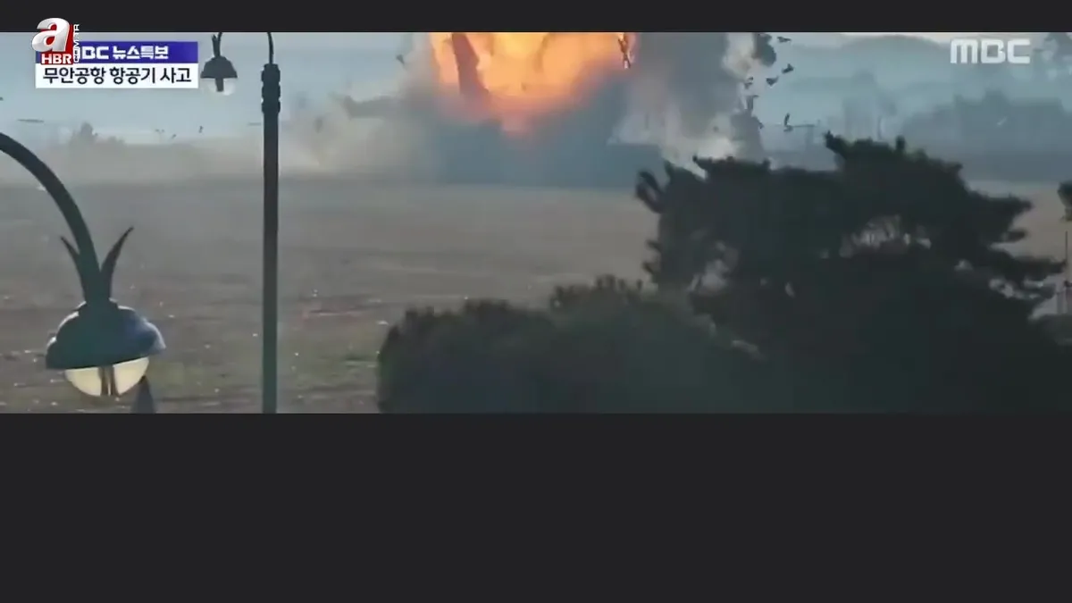 Güney Kore'deki uçak kazası anı kamerada
