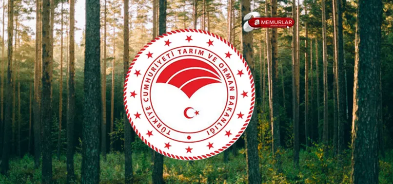 Tarım ve Orman Bakanlığı personel alımı başladı mı? 2022 OGM ve DSİ işçi alımı başvuru nasıl yapılır? Şartlar nelerdir?