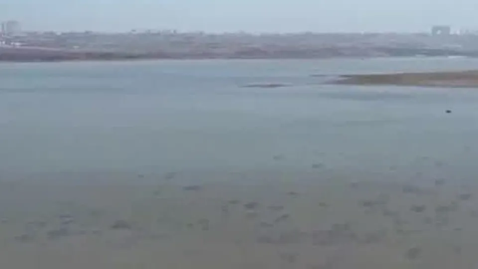 İstanbul’da barajlar alarm veriyor