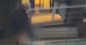 Süs havuzuna tuvaletini yaptı