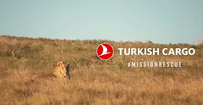 Türk Hava Yolları kanatlarını doğa için açıyor