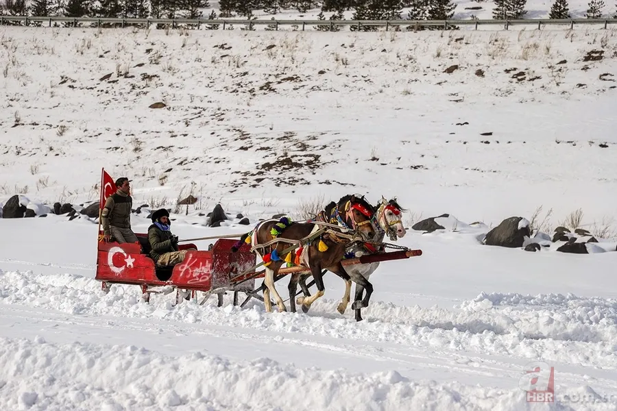 Çıldır Gölü ilgi odağı oldu! Turistler atlı kızağa hayran kaldı 1