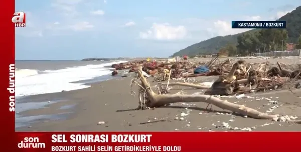 1628946204265.jpeg Sel sonrası Bozkurt! Karadeniz'in rengi değişti - 3