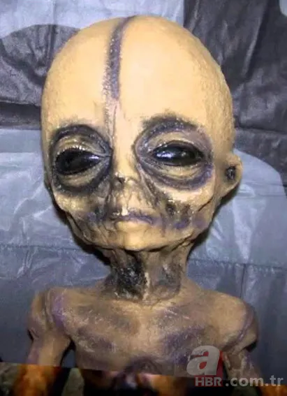 Kan donduran görüntü! 51.bölge neden bu kadar gizemli? 11