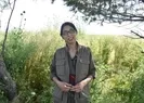 PKKnın kurduğu çarpık ilişki ortaya çıktı!