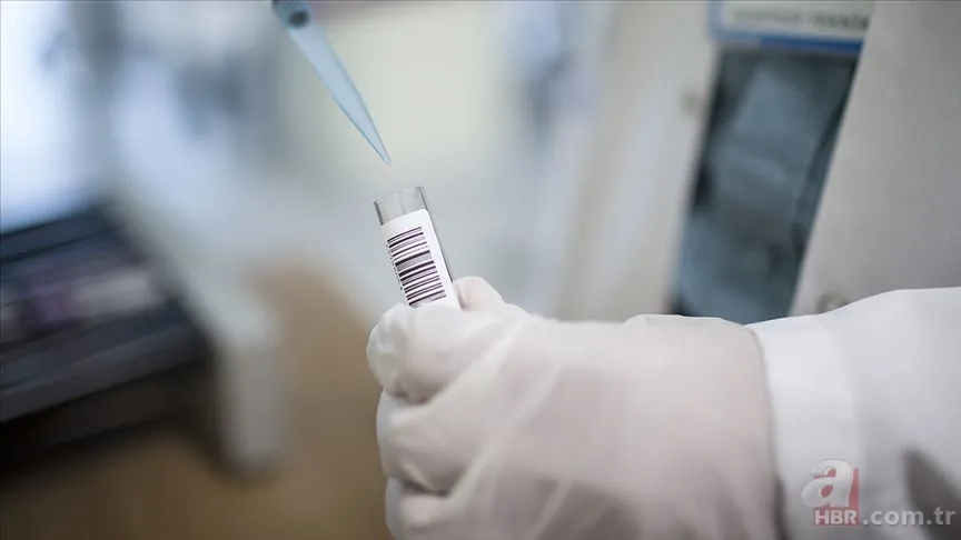 Bu belirtiler varsa dikkat! Ciltte geçmeyen kaşıntı kızarıklık... Uyuz neden olur, tedavi yöntemi nelerdir? Hastalık tanısı... 6