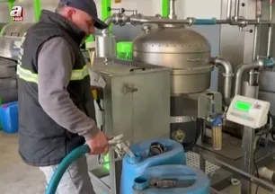 Kara meyve altın sıvıya dönüşüyor