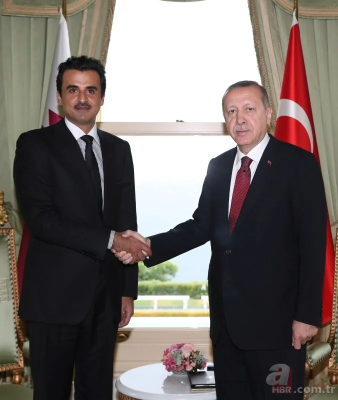 Başkan Erdoğan-Al Sani arasında önemli görüşme