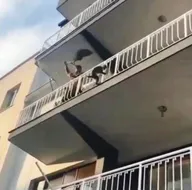Maymun firarda! Böyle yakaladı