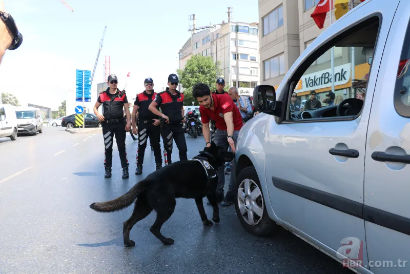 İstanbul'da "Kurt Kapanı 2019-9" uygulaması 5