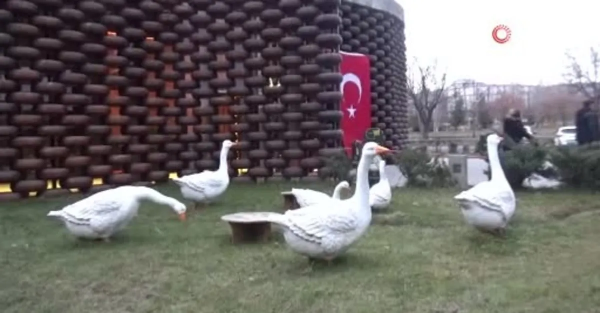 Peynir Müzesi yoğun ilgi görüyor