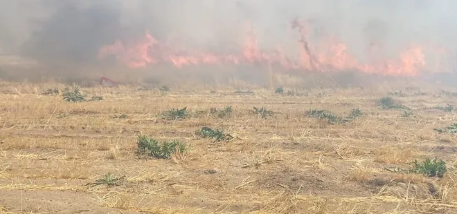 Adilcevaz'da arpa tarlasında yangın