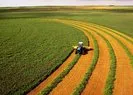 Tarım arazileri artık dijital ortamda kiralanabilecek