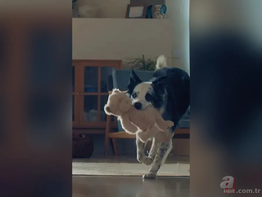 "Bosch" zihniyet: Almanya'da çocuklu Türkiye'de köpekli Anneler Günü reklamı 4