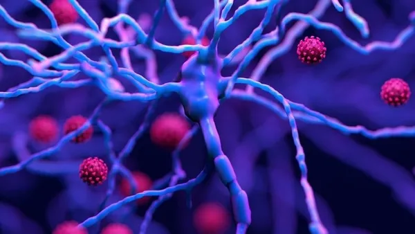 ABD’de koronadan ölenlerin beyni açıldı! Sonuçlar doktorları bile şoke etti