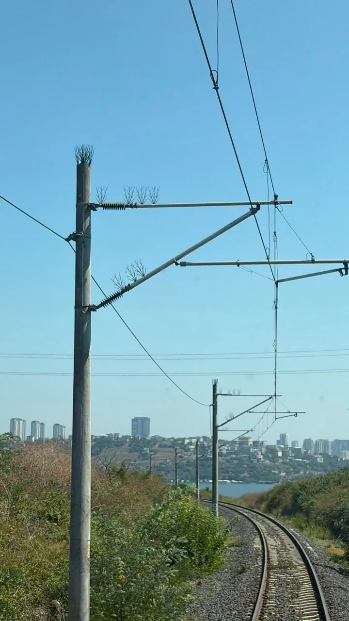 1787831868577.jpeg 153 yıllık demiryolu hattında göçmen leylekler için seferberlik! - 5