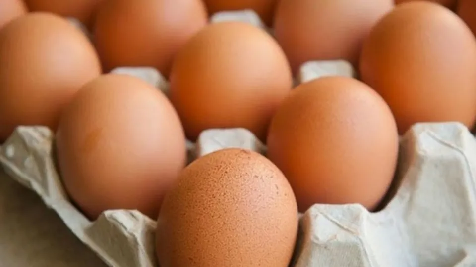 Yumurtaların içinden bakın ne çıktı