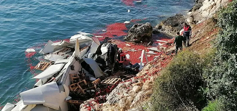Mersin’de domates yüklü TIR denize uçtu