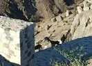Tarihi kalede beklenmedik olay