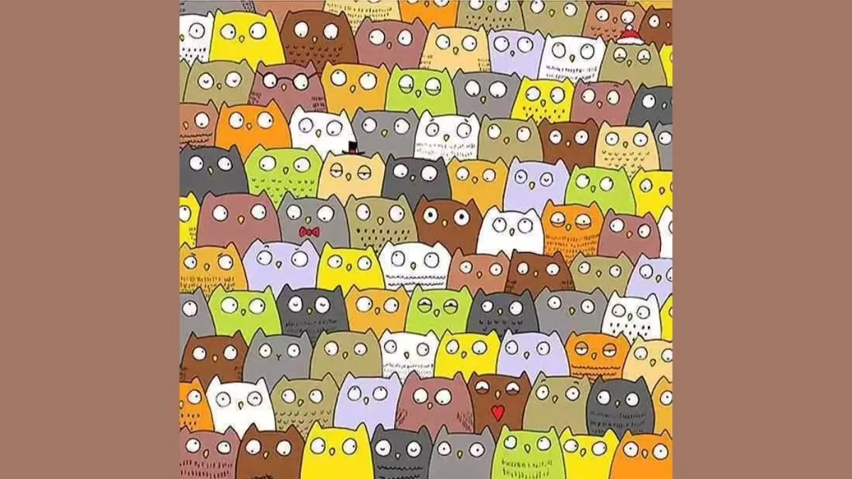 Sadece yüzde 1’lik kesim gördü! 7 saniyede baykuşların arasındaki kediyi bulun