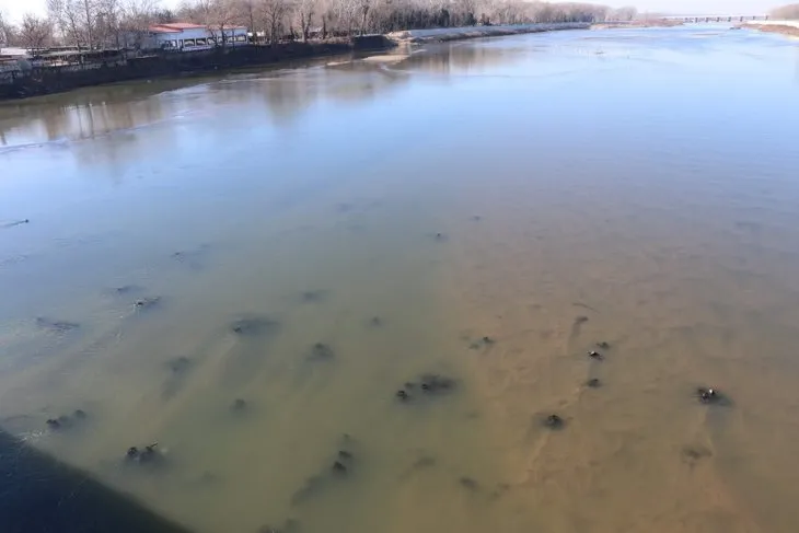 Meriç Nehri’nde şaşırtan görüntü! Sular çekilince ortaya çıktı