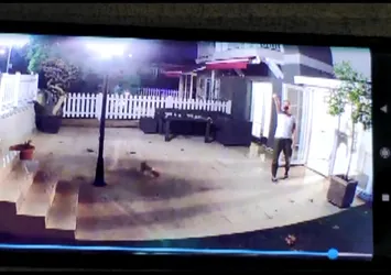 Kargocu "kırılacak" yazan paketi böyle fırlattı