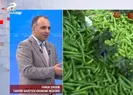 Fiyat etiketlerinde zincir market etkisi