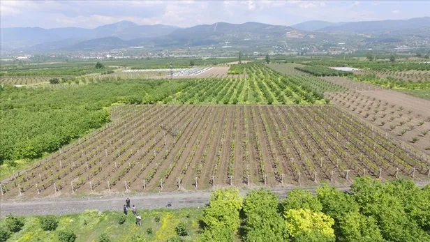 İŞKUR OGM işçi alımı başvuru ekranı: 2021 OGM mevsimlik işçi alımı başvuru nasıl yapılır? İşte kadro ve şartlar...