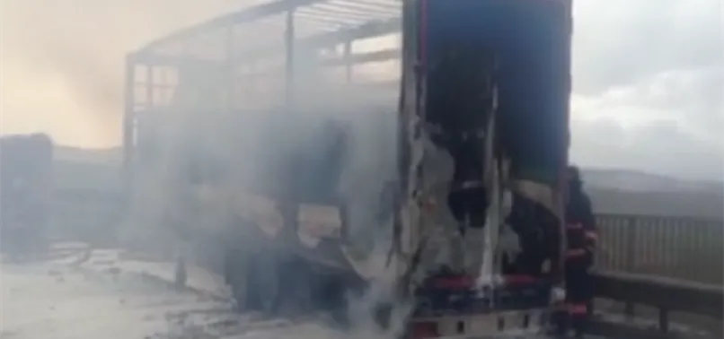 TIR dorsesinde yangın! TEM trafiğe kapandı...