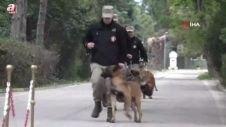 TSK’nın komando köpekleri Mehmetçik’le yan yana vatanı savunuyor