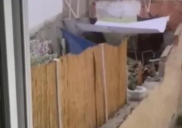 Köpeğe eziyet etti! O vicdansız kıskıvrak yakalandı