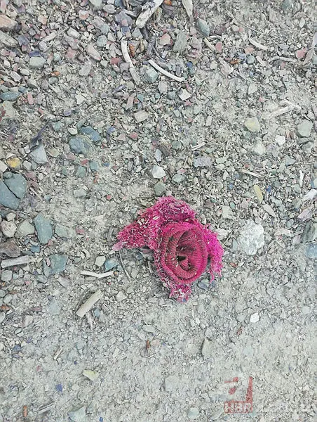 Ecrin bebek katili kim? Kayıp Ecrin son dakika katili kim? (28 Mayıs Müge Anlı) 4