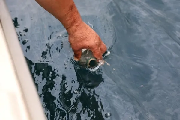 Doğu Karadeniz’de petrol heyecanı: Türkiye’nin enerjisini karşılayacak! Kalite tespit çalışmaları başladı